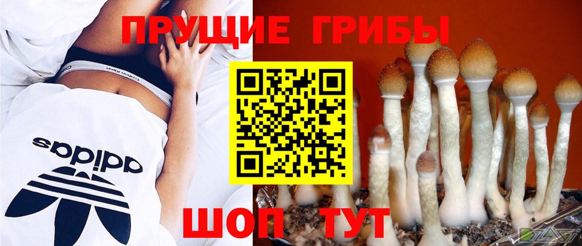 Псилоцибиновые грибы Cubensis Мелеуз